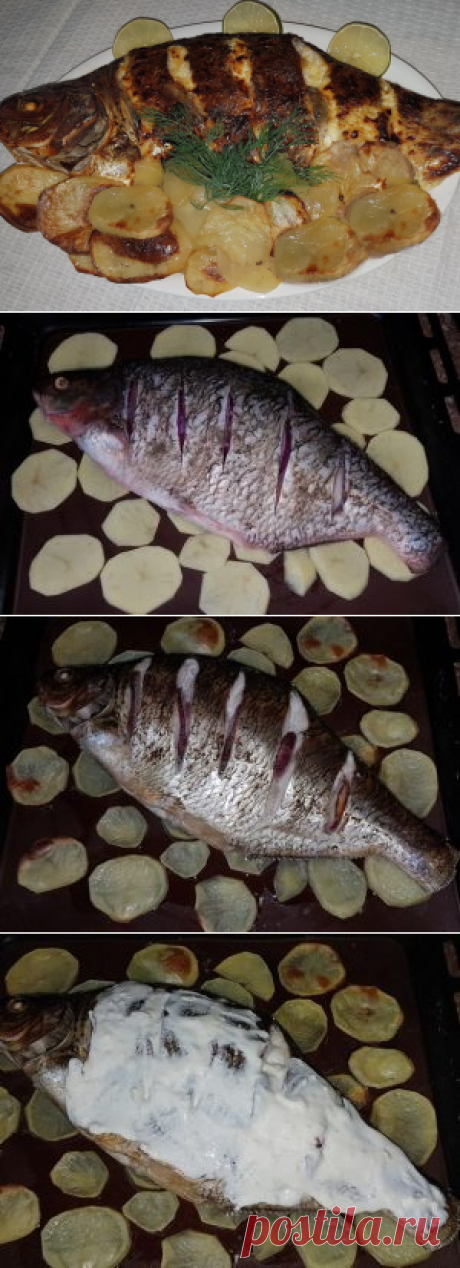 Лещ с картошкой, запеченные в духовке
Самое сложное в сегодняшнем рецепте - это почистить рыбу и постараться не подавиться косточками.