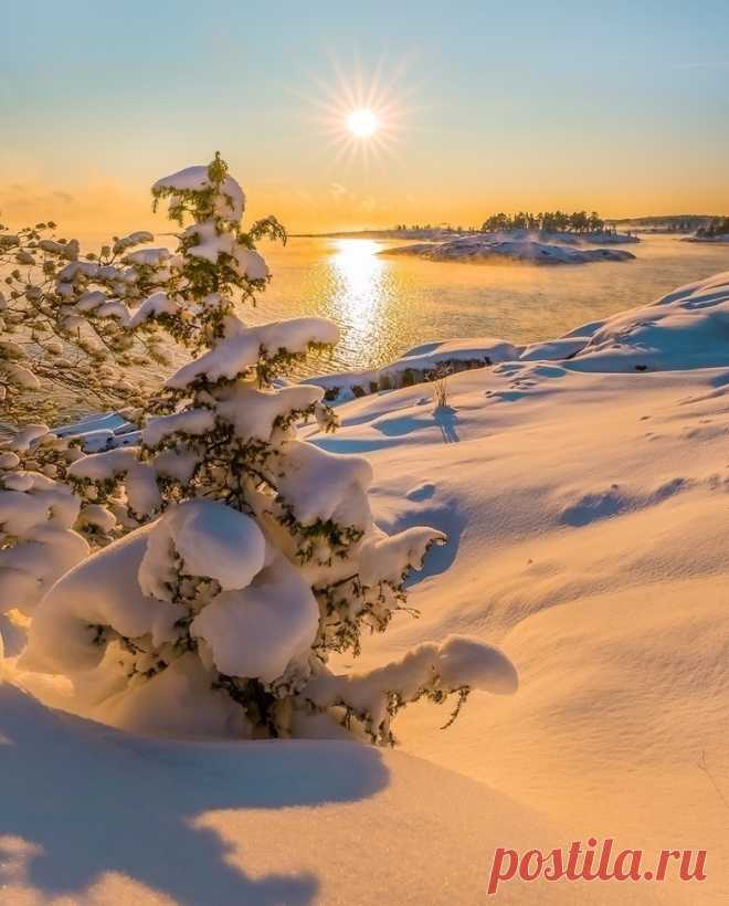 Маленькой ёлочке холодно зимой. 🎄🌟⛄❄
📷 Фёдор Лашков