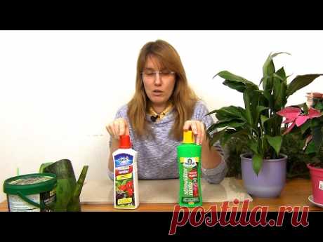Удобрение комнатных растений