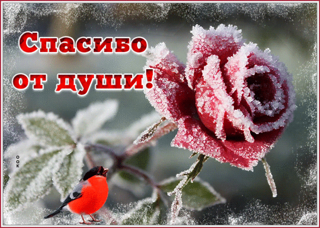 Блестящая картинка Спасибо от души с розой