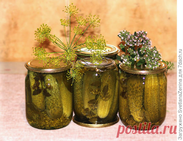 Нежные и душистые маринованные огурчики