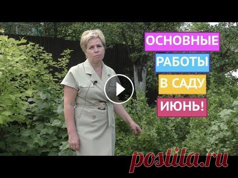 НЕ ЗАБУДЬТЕ ПРО ЭТИ ДЕЛА В САДУ И ОГОРОДЕ В ИЮНЕ! Я рада всех приветствовать на канале Садовый Гид! Друзья, вот и наступило лето! Впереди три месяца ярких красок, ароматных цветов и вкусных плодов. Но...