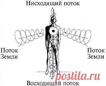 Энергетические потоки и человек Энергетические потоки и человек



Энергия есть основа всего, ибо в ней одной заложены все возможности. Основной энергетический поток человека состоит из двух потоков противоположных направлений.

Энергетический поток, идущий снизу – вверх – это восходящий поток. Этот поток идет на небольшом расстоянии впереди позвоночника и выходит через верхние чакры человека.

Энергетический поток идущий сверху – вниз – то нисходящий поток. Этот поток иде...