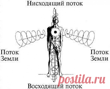 Энергетические потоки и человек Энергетические потоки и человек



Энергия есть основа всего, ибо в ней одной заложены все возможности. Основной энергетический поток человека состоит из двух потоков противоположных направлений.

Энергетический поток, идущий снизу – вверх – это восходящий поток. Этот поток идет на небольшом расстоянии впереди позвоночника и выходит через верхние чакры человека.

Энергетический поток идущий сверху – вниз – то нисходящий поток. Этот поток иде...
