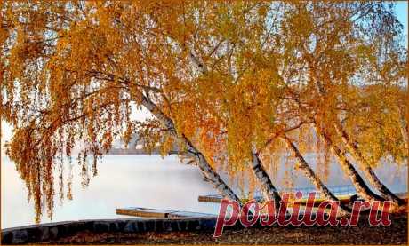 «знамёна осени»