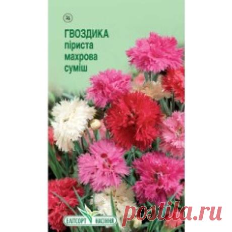 N❶. Гвоздика перистая махровая смесь /0,1 г/ *ЭлитСорт*
