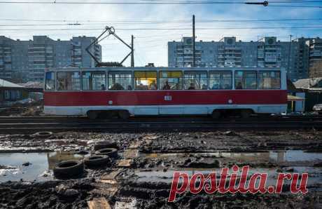 Весна пришла: красотища полным ходом... | Крутой облом