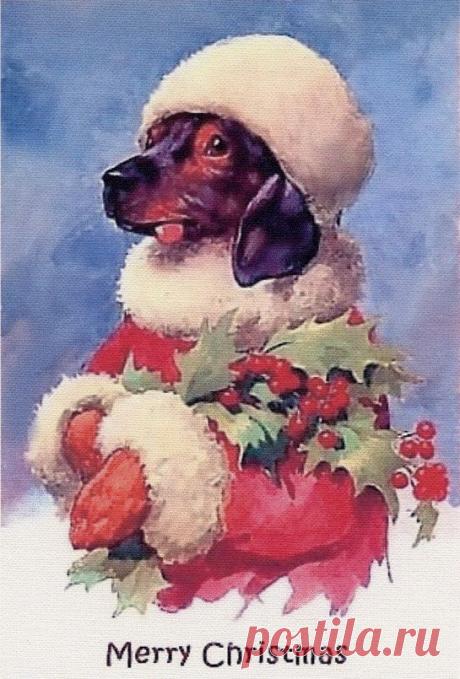 Найдено на сайте almosthomerescue.org.