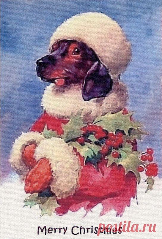 Найдено на сайте almosthomerescue.org.