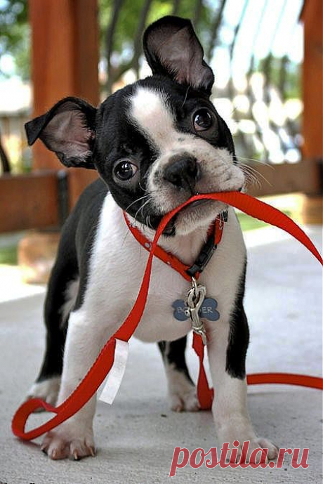 so cute!