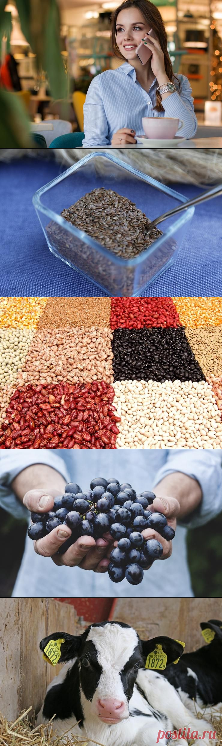 5 ПРОДУКТОВ, СОДЕРЖАЩИХ ГОРМОН МОЛОДОСТИ | Cемена льна, бобовые, виноград, молочка, кофе