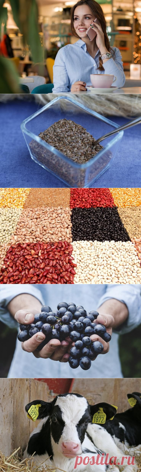 5 ПРОДУКТОВ, СОДЕРЖАЩИХ ГОРМОН МОЛОДОСТИ | Cемена льна, бобовые, виноград, молочка, кофе