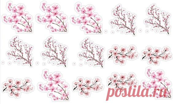 (220) Pinterest