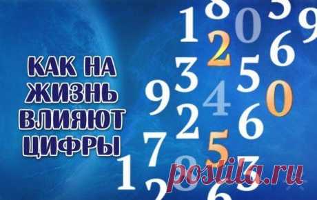 Стена