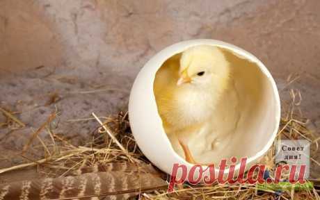 Какие продукты и травы помогают разжижению крови, препятствуют образованию тромбов?... ОЧЕНЬ ПОЛЕЗНО...

Многие думают, что существуют какие – то сложные методики или системы, для того, чтоб это делать.

Однако, я хочу Вас заверить в том, что все намного проще, чем Вам может показаться на первый взгляд. Сейчас мы будем говорить о питании, так как именно благодаря правильно сформированному рациону возможно решить проблему того, чем разжижать кровь.

Ну, а если вдруг Вам пок...