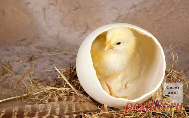 Какие продукты и травы помогают разжижению крови, препятствуют образованию тромбов?... ОЧЕНЬ ПОЛЕЗНО...

Многие думают, что существуют какие – то сложные методики или системы, для того, чтоб это делать.

Однако, я хочу Вас заверить в том, что все намного проще, чем Вам может показаться на первый взгляд. Сейчас мы будем говорить о питании, так как именно благодаря правильно сформированному рациону возможно решить проблему того, чем разжижать кровь.

Ну, а если вдруг Вам пок...