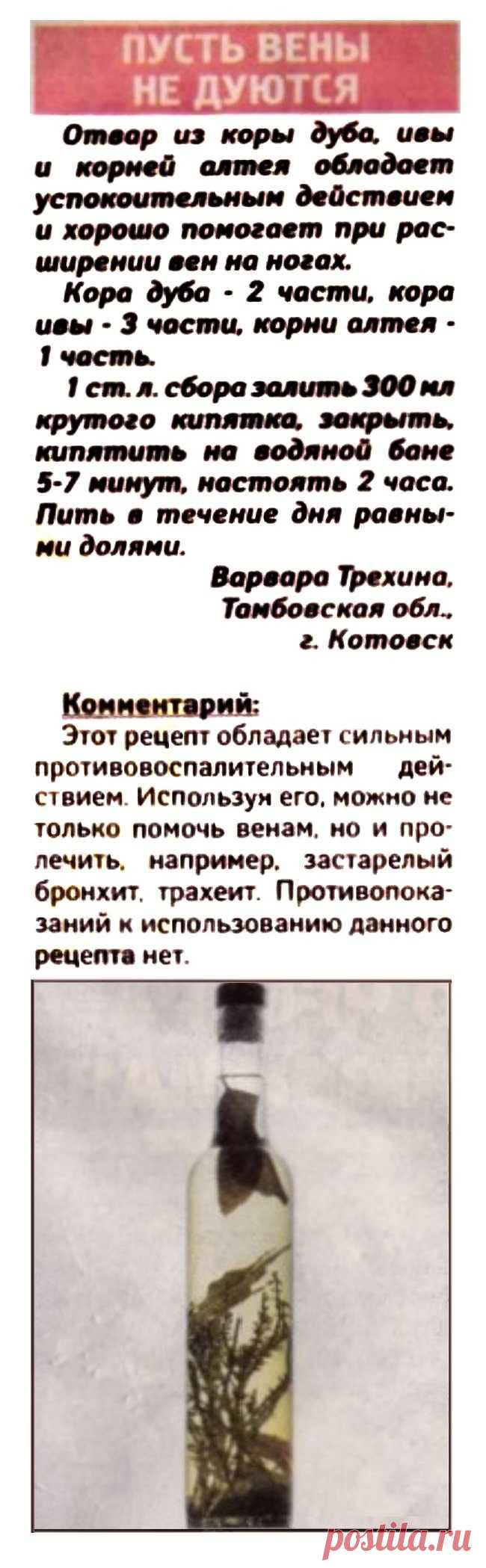 Отвар от варикоза