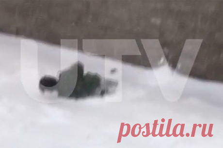 В России старшеклассники выбросили мальчика из окна школы и попали на видео. В Уфе ученика одной из местных школ ученика выбросили из окна учебного заведения. На видеозаписи видно, как группа детей стоит у открытого окна. Затем один из детей падает на покрытую снегом землю и начинает плакать. Мальчика вытолкнули из окна старшеклассники. О случившемся поставили в известность прокуратуру региона.