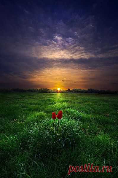 Анкеты клиентов нашего агентства знакомств