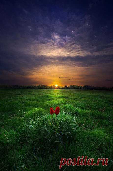 Анкеты клиентов нашего агентства знакомств