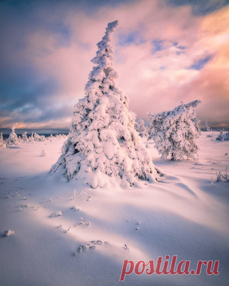 i (1080×1350)