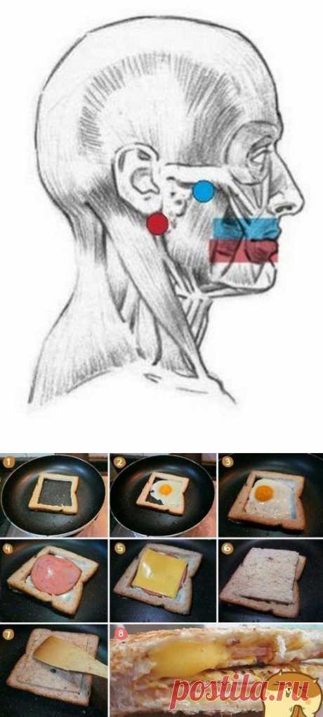 Креативные советы для повседневной жизни