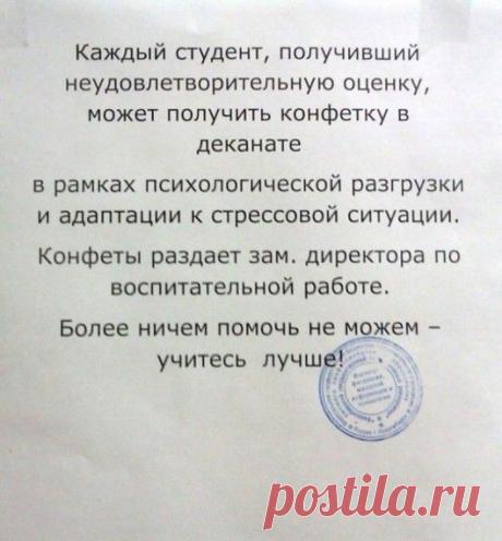 Все мы были студентами… - Экологическое землетворчество | Экологическое землетворчество