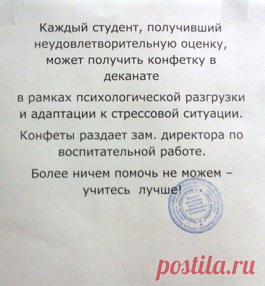 Все мы были студентами… - Экологическое землетворчество | Экологическое землетворчество