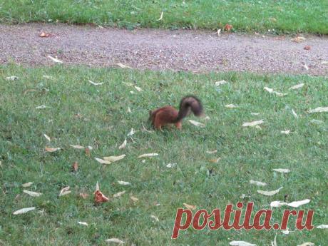 Мой Мир@Mail.Ru