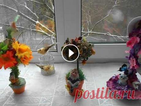 Мои первые Топиарии/Топиарии своими руками/Моё увлечение #моипервыетопиарии#Яживукакмогу#топиариисвоимируками#моёувлечение...