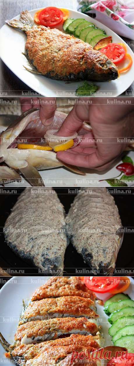 Карп с сыром в духовке – рецепт приготовления с фото от Kulina.Ru