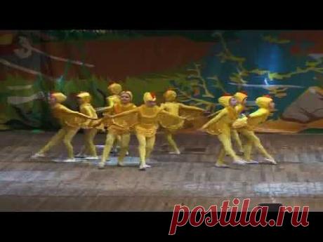 Цыплята видео