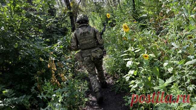 Российские войска подошли к окраинам Купянска, сообщил Ганчев