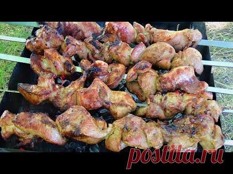Сочный Шашлык из Индейки на мангале Знакомство со Зрителями!