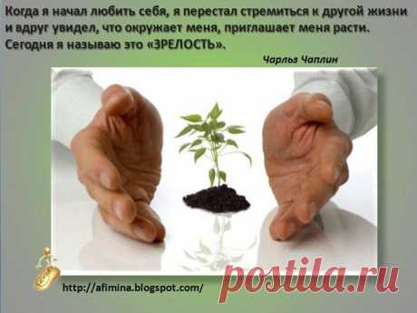 Лицо бизнеса