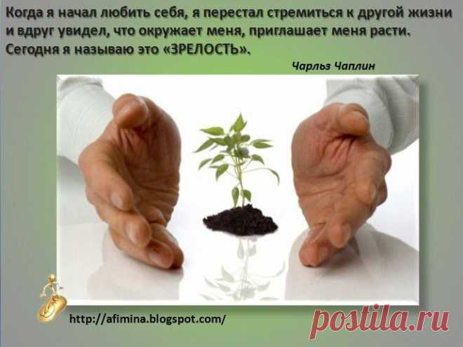 Лицо бизнеса