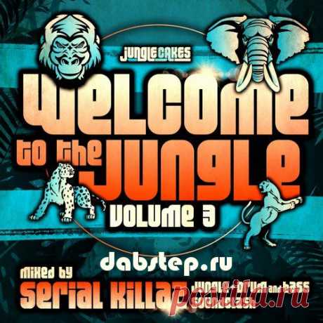 Welcome To The Jungle, Vol. 3: The Ultimate Jungle Cakes Drum & Bass (FLAC/MP3) Download UK.