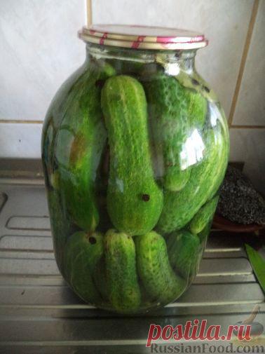 Рецепт: Надежный способ закатки огурцов на RussianFood.com