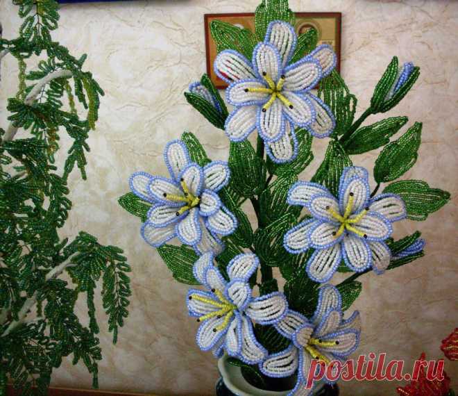Одноклассники
