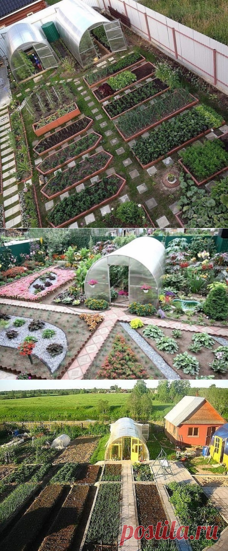 Одноклассники