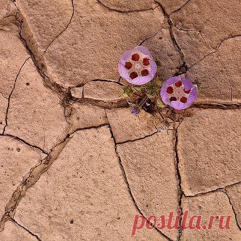 Мой Мир@Mail.Ru