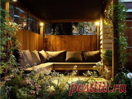 Скажите «нет»: какие комнатные растения нельзя держать в доме?