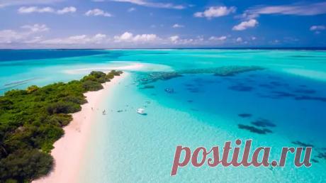 (30) Как парень по рецепту дедову женился - 5МИНУТКА - 5 декабря - 43065205111 - Медиаплатформа МирТесен