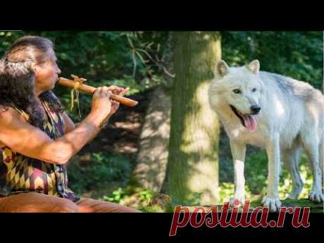 Chuvas e Música Suave para Sono Profundo - SEM COMERCIAIS -  (Anti-stress e Anti-insônia)