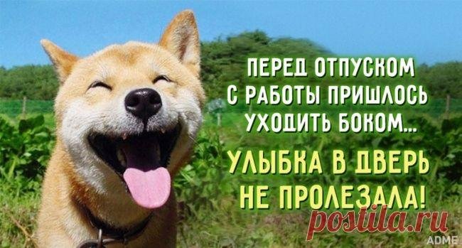 15 открыток, которые заряжены оптимизмом