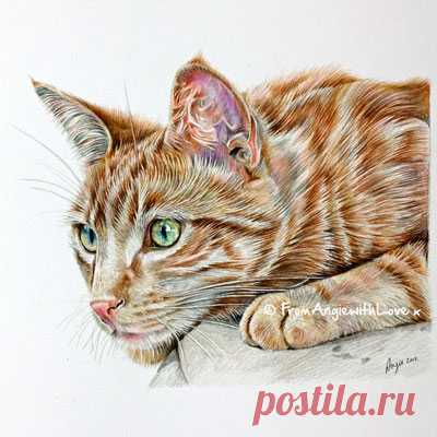 Кошачьи портреты карандашом