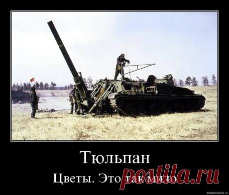 Фотографии Хроники - Андрей Полынский