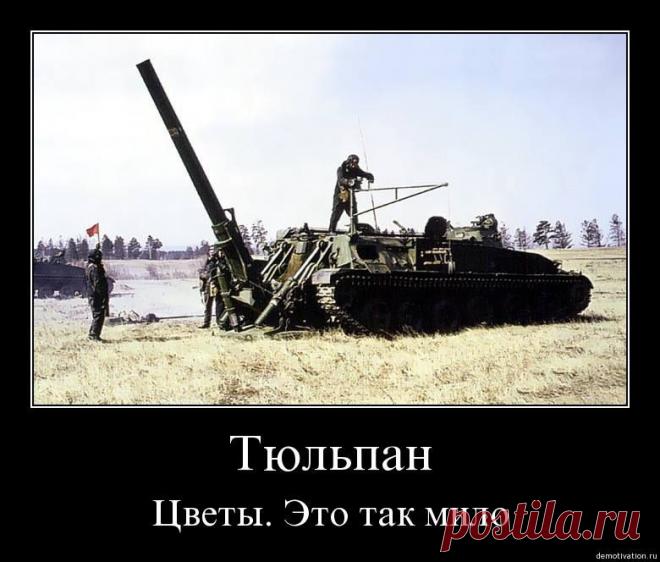 Фотографии Хроники - Андрей Полынский