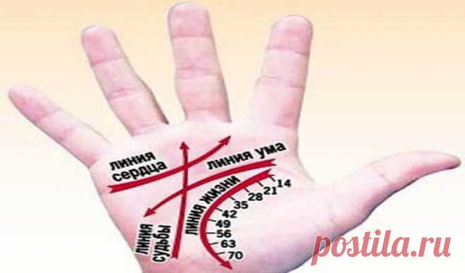 Умение разбираться в линиях на руках – это ключ к разгадке нашего будущего. Карта жизни – иначе наши ладони не назовешь. Для того, чтобы прочитать их