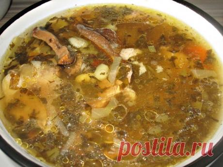 Улётный рецепт. Серые щи — вологодский наркотик Всё-всё-всё. Последние морозы на дворе. Время доедать серые щи.